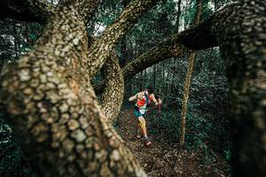 BIB: 
                            <button type="button" onclick="openModal(25393309)" class="btn btn-primary btn-sm float-right btn-popup" data-toggle="modal" data-target=".modal-high-quality">
                        <i class="fas fa-shopping-cart"></i> Add to Cart
                    </button>
                                            <button type="button" onclick="isThisMe(25393309, true)" class="btn btn-success btn-sm float-right btn-popup btn-isme hidden" data-toggle="tooltip" data-placement="bottom" title="นี่คือรูปของคุณใช่ไหม คลิกที่นี่เพื่อเอาเข้าอัลบั้ม">
                        <i class="fas fa-plus"></i> Add to album
                    </button>
                    <button type="button" onclick="isThisMe(25393309, false)" class="btn btn-warning btn-sm float-right btn-popup btn-isnotme hidden">
                        <i class="fas fa-ban"></i> Remove from album
                    </button>